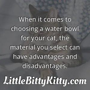When it comes to choosing a water bowl for your cat, the material you select can have advantages and disadvantages.