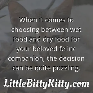 When it comes to choosing between wet food and dry food for your beloved feline companion, the decision can be quite puzzling.
