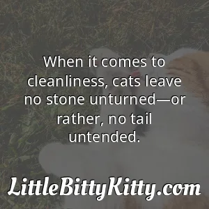 When it comes to cleanliness, cats leave no stone unturned—or rather, no tail untended.