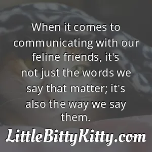 When it comes to communicating with our feline friends, it's not just the words we say that matter; it's also the way we say them.
