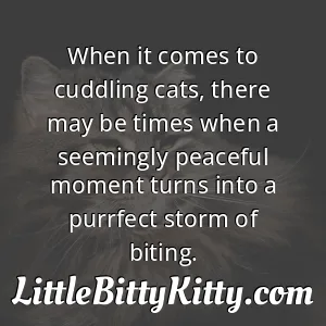 When it comes to cuddling cats, there may be times when a seemingly peaceful moment turns into a purrfect storm of biting.
