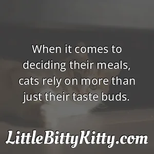 When it comes to deciding their meals, cats rely on more than just their taste buds.