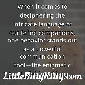 When it comes to deciphering the intricate language of our feline companions, one behavior stands out as a powerful communication tool—the enigmatic act of chin rubbing.