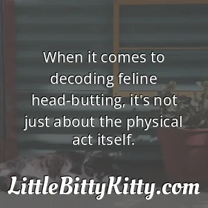 When it comes to decoding feline head-butting, it's not just about the physical act itself.