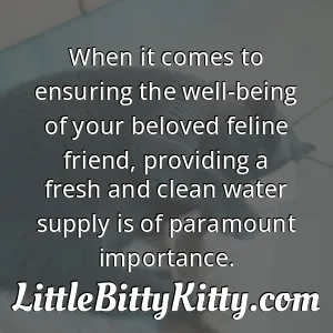 When it comes to ensuring the well-being of your beloved feline friend, providing a fresh and clean water supply is of paramount importance.