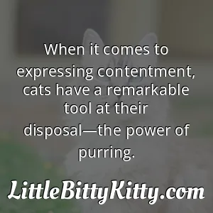 When it comes to expressing contentment, cats have a remarkable tool at their disposal—the power of purring.