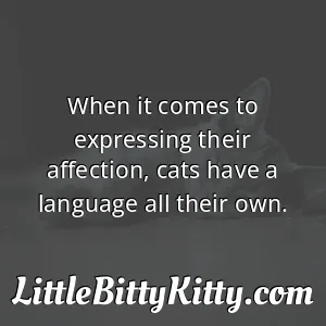 When it comes to expressing their affection, cats have a language all their own.