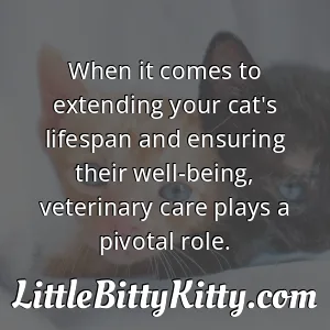 When it comes to extending your cat's lifespan and ensuring their well-being, veterinary care plays a pivotal role.