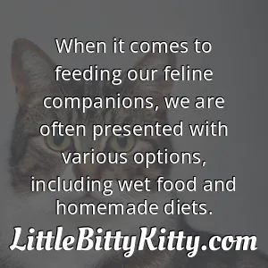 When it comes to feeding our feline companions, we are often presented with various options, including wet food and homemade diets.