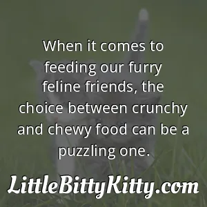 When it comes to feeding our furry feline friends, the choice between crunchy and chewy food can be a puzzling one.