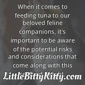 When it comes to feeding tuna to our beloved feline companions, it's important to be aware of the potential risks and considerations that come along with this seafood delight.