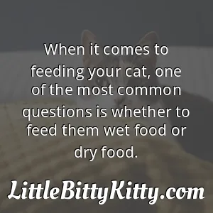 When it comes to feeding your cat, one of the most common questions is whether to feed them wet food or dry food.