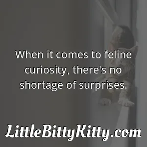 When it comes to feline curiosity, there's no shortage of surprises.