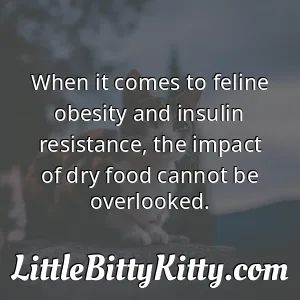 When it comes to feline obesity and insulin resistance, the impact of dry food cannot be overlooked.