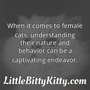 When it comes to female cats, understanding their nature and behavior can be a captivating endeavor.