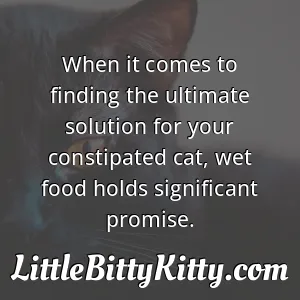 When it comes to finding the ultimate solution for your constipated cat, wet food holds significant promise.