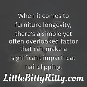 When it comes to furniture longevity, there's a simple yet often overlooked factor that can make a significant impact: cat nail clipping.