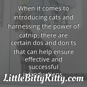 When it comes to introducing cats and harnessing the power of catnip, there are certain dos and don'ts that can help ensure effective and successful introductions.