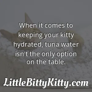 When it comes to keeping your kitty hydrated, tuna water isn't the only option on the table.