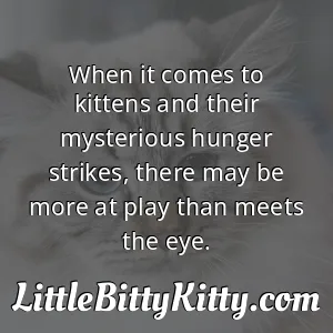 When it comes to kittens and their mysterious hunger strikes, there may be more at play than meets the eye.