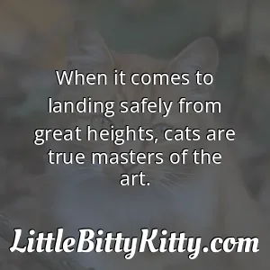 When it comes to landing safely from great heights, cats are true masters of the art.