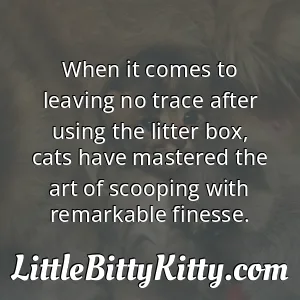 When it comes to leaving no trace after using the litter box, cats have mastered the art of scooping with remarkable finesse.