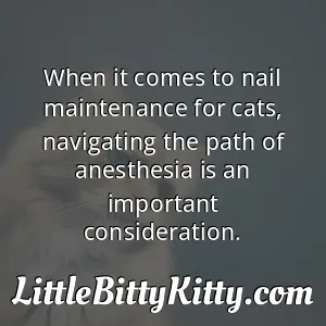 When it comes to nail maintenance for cats, navigating the path of anesthesia is an important consideration.