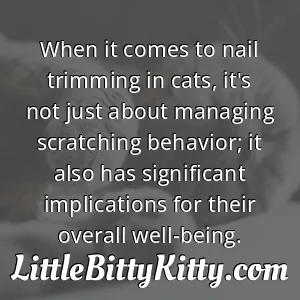 When it comes to nail trimming in cats, it's not just about managing scratching behavior; it also has significant implications for their overall well-being.