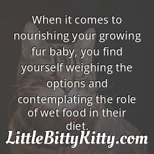 When it comes to nourishing your growing fur baby, you find yourself weighing the options and contemplating the role of wet food in their diet.