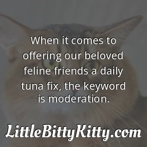 When it comes to offering our beloved feline friends a daily tuna fix, the keyword is moderation.