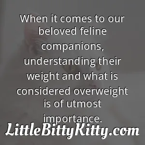 When it comes to our beloved feline companions, understanding their weight and what is considered overweight is of utmost importance.