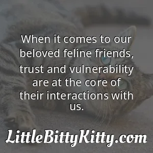 When it comes to our beloved feline friends, trust and vulnerability are at the core of their interactions with us.