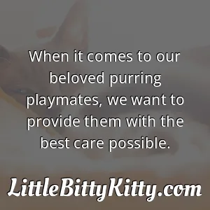 When it comes to our beloved purring playmates, we want to provide them with the best care possible.