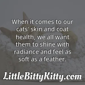 When it comes to our cats' skin and coat health, we all want them to shine with radiance and feel as soft as a feather.