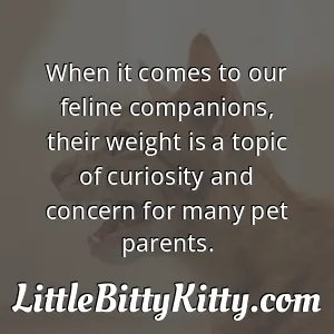 When it comes to our feline companions, their weight is a topic of curiosity and concern for many pet parents.