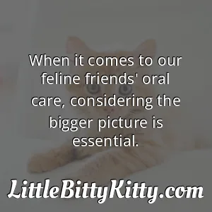 When it comes to our feline friends' oral care, considering the bigger picture is essential.