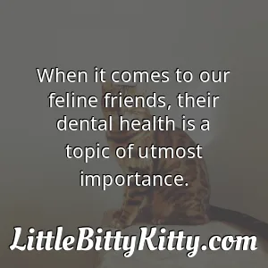 When it comes to our feline friends, their dental health is a topic of utmost importance.