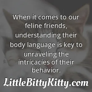 When it comes to our feline friends, understanding their body language is key to unraveling the intricacies of their behavior.