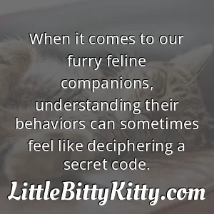 When it comes to our furry feline companions, understanding their behaviors can sometimes feel like deciphering a secret code.