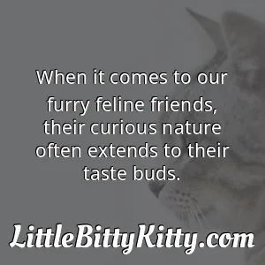 When it comes to our furry feline friends, their curious nature often extends to their taste buds.