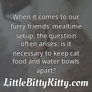 When it comes to our furry friends' mealtime setup, the question often arises: is it necessary to keep cat food and water bowls apart?