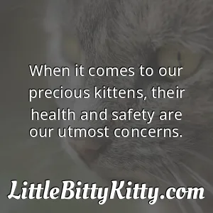When it comes to our precious kittens, their health and safety are our utmost concerns.