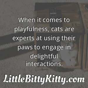 When it comes to playfulness, cats are experts at using their paws to engage in delightful interactions.