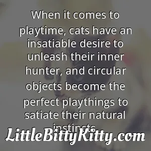 When it comes to playtime, cats have an insatiable desire to unleash their inner hunter, and circular objects become the perfect playthings to satiate their natural instincts.