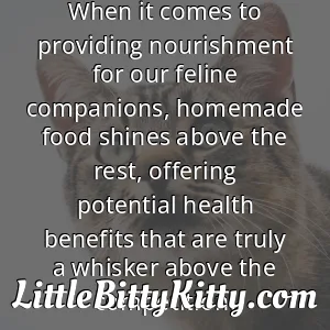 When it comes to providing nourishment for our feline companions, homemade food shines above the rest, offering potential health benefits that are truly a whisker above the competition.