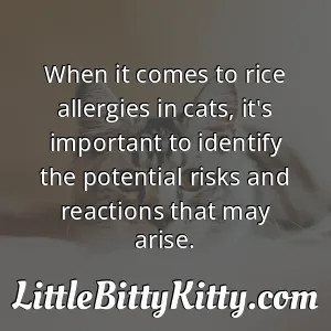 When it comes to rice allergies in cats, it's important to identify the potential risks and reactions that may arise.
