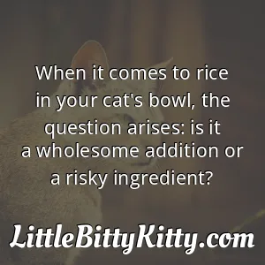 When it comes to rice in your cat's bowl, the question arises: is it a wholesome addition or a risky ingredient?
