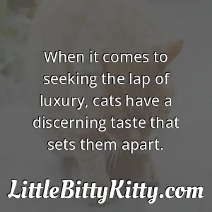 When it comes to seeking the lap of luxury, cats have a discerning taste that sets them apart.