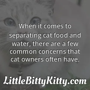 When it comes to separating cat food and water, there are a few common concerns that cat owners often have.