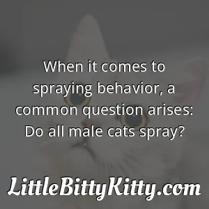 When it comes to spraying behavior, a common question arises: Do all male cats spray?
